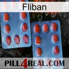 Fliban 05